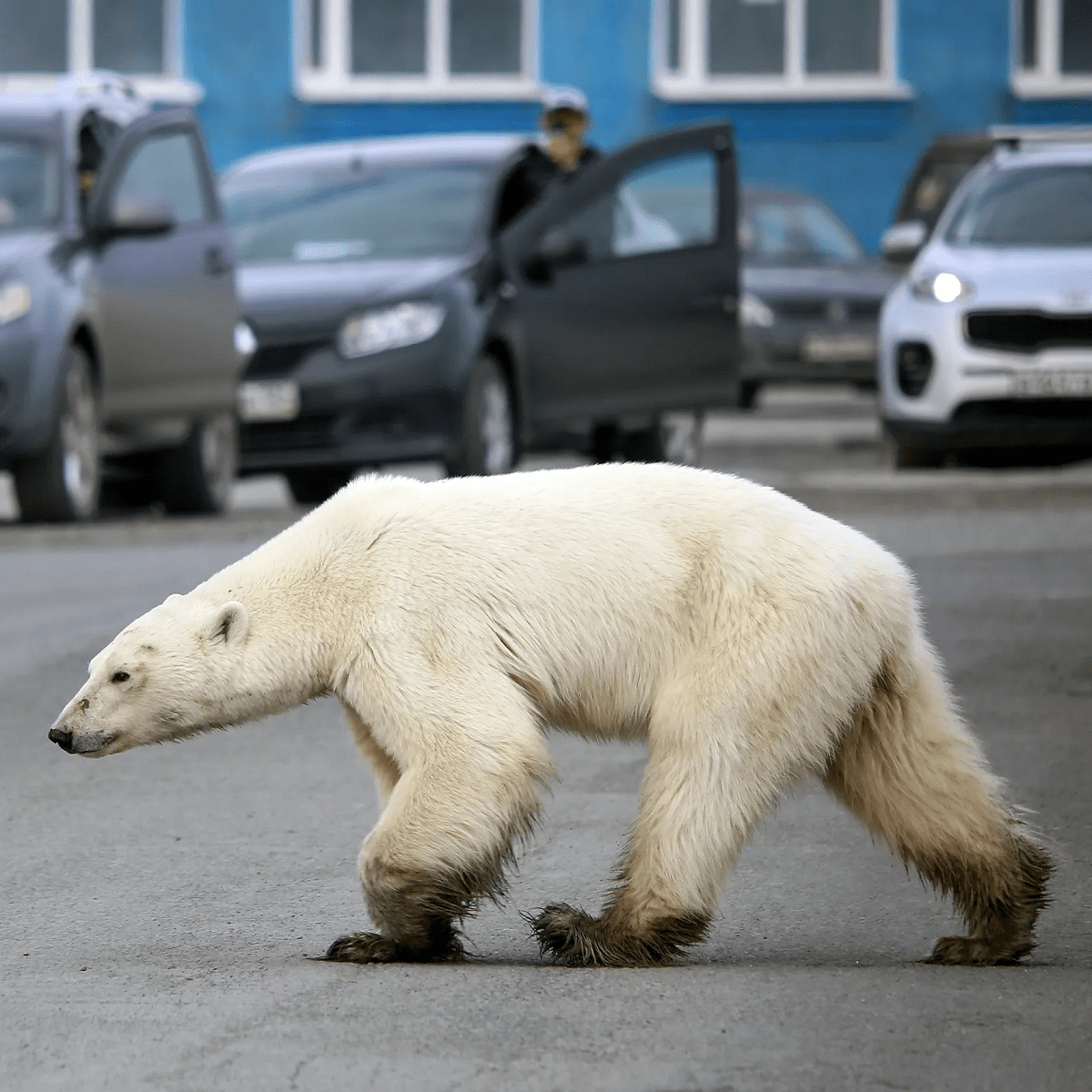 LA COSTUMBRE DEL PODER: ¿Puede frenarse el cambio climático?