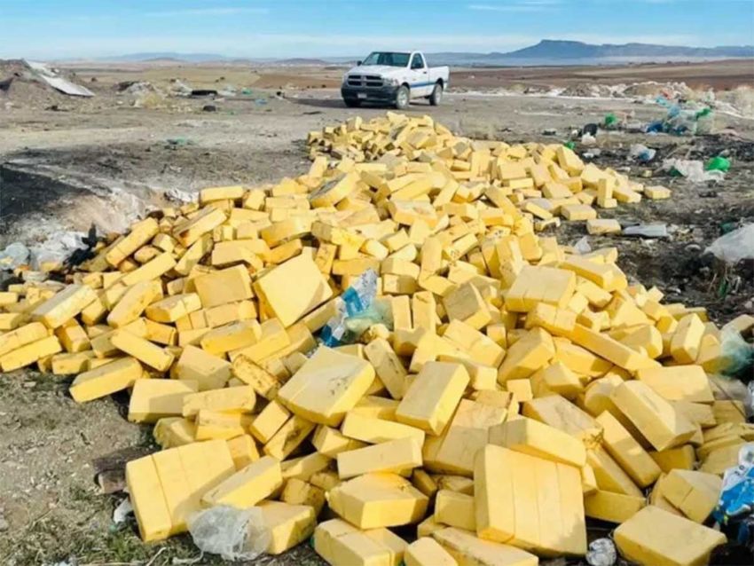 Destruyen 10 toneladas de queso menonita contaminado en Chihuahua