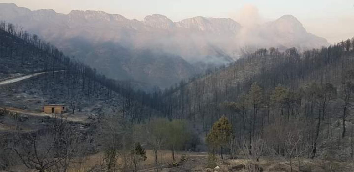Incendio en la sierra de Santigo consumió más de 8 mil hectáreas y algunas casas