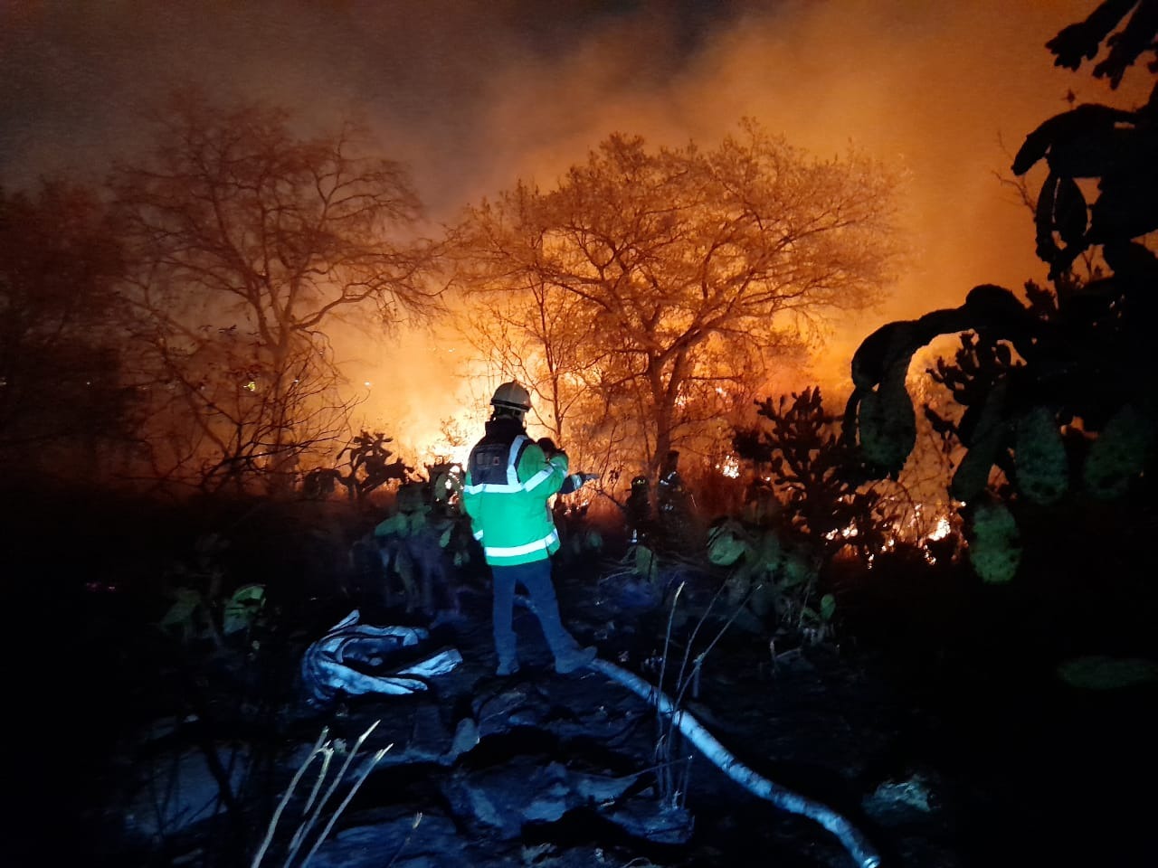 incendio en Tlalpa