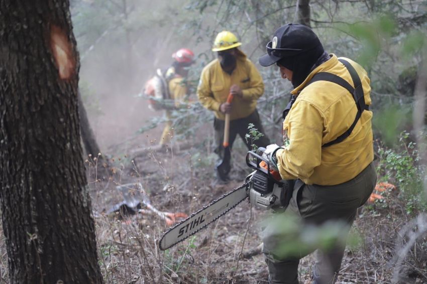 Protección Civil ha controlado al 50% el incendio forestal en la sierra de Santiago