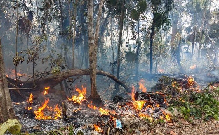 Inicia temporada de incendios forestales en Quintana Roo