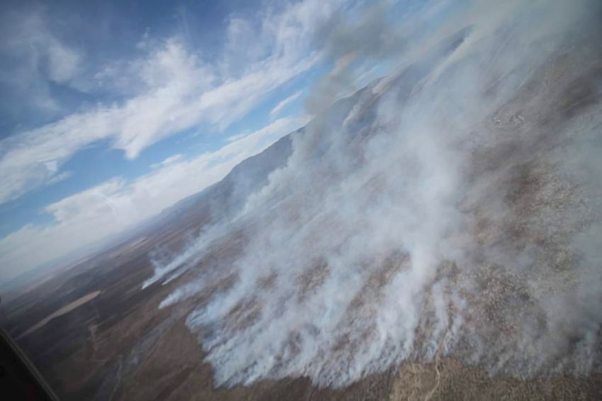 Se registran incendios forestales en sierra de Coahuila y NL