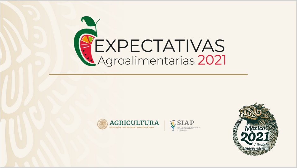 Destacan expertos productividad y resiliencia de la agricultura mexicana ante la etapa de emergencia sanitaria