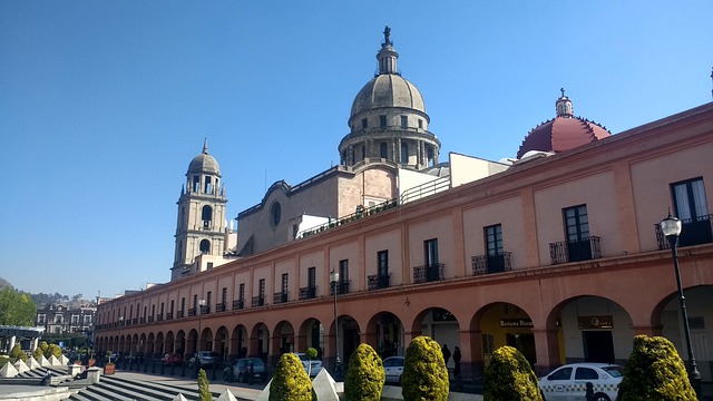 Diez ciudades de México obtienen certificado como “Ciudades arboladas del mundo”