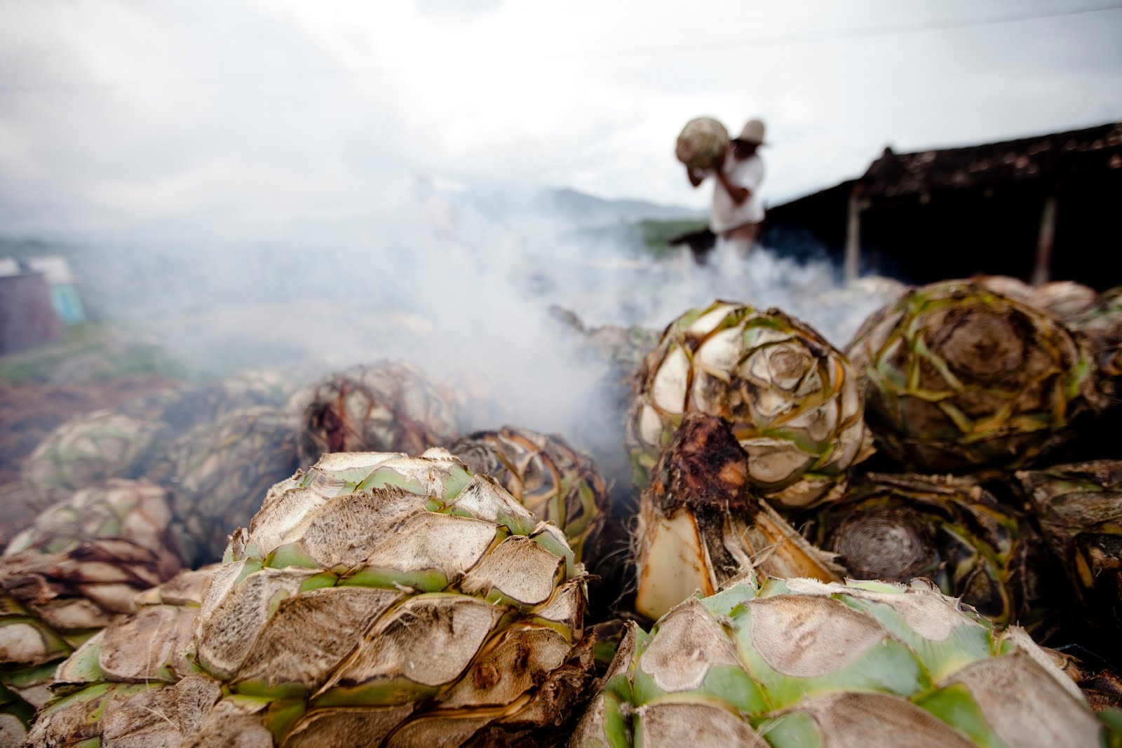 Denuncian violencia de género dentro del Consejo Regulador del Mezcal