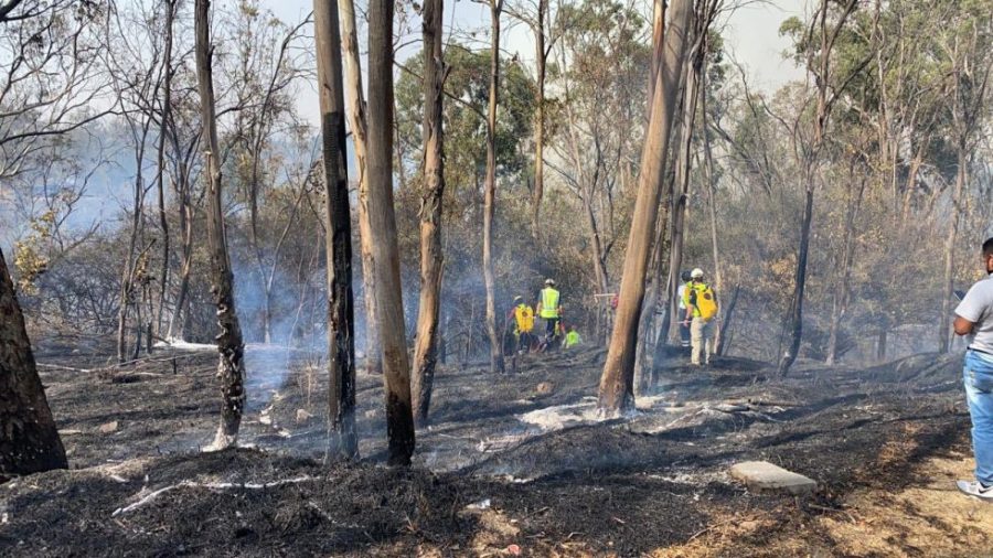 incendio en el Bosque de Chapultepec