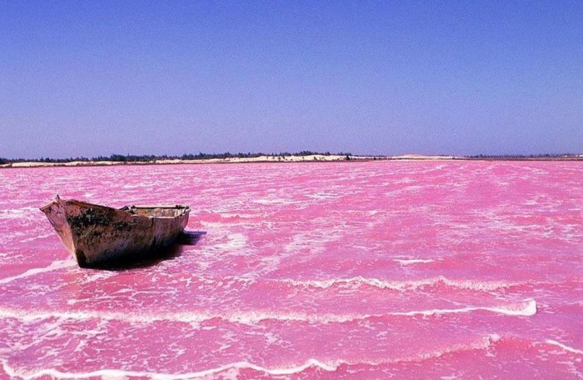 ¿Sabías que en México la única playa de color rosa está en Yucatán?
