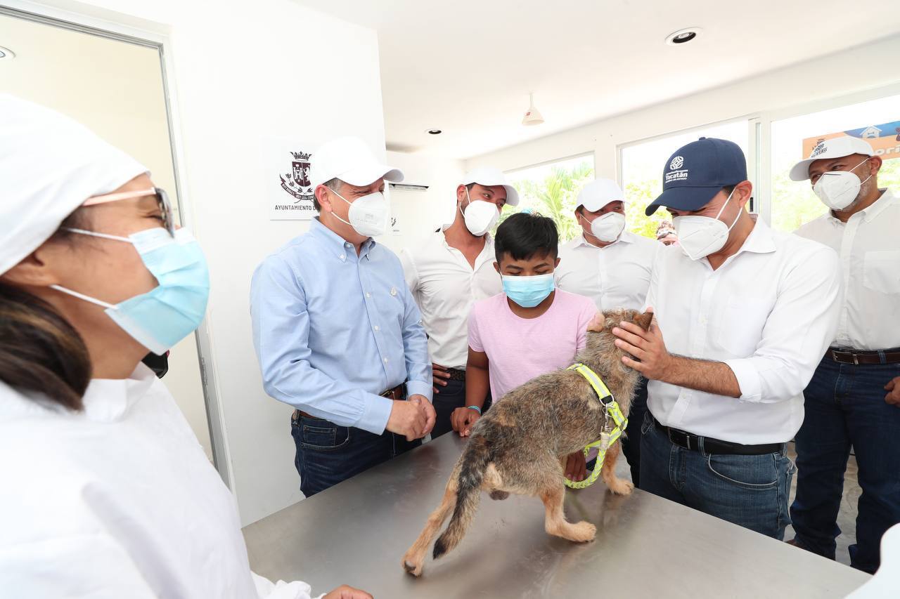 Mauricio Vila anuncia creación de fiscalía especializada en maltrato animal