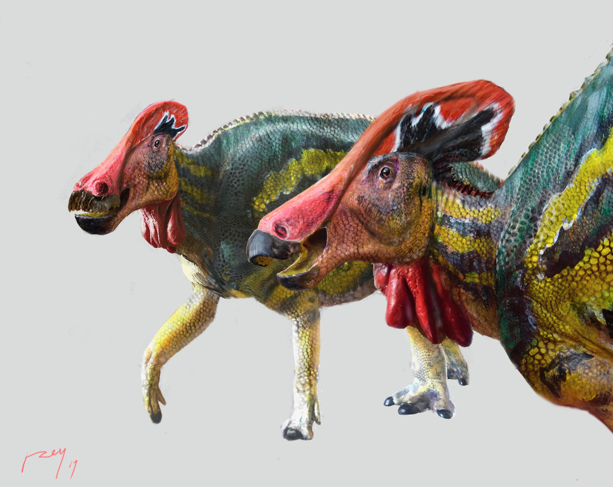 Nueva especie de dinosaurio descubierta en México