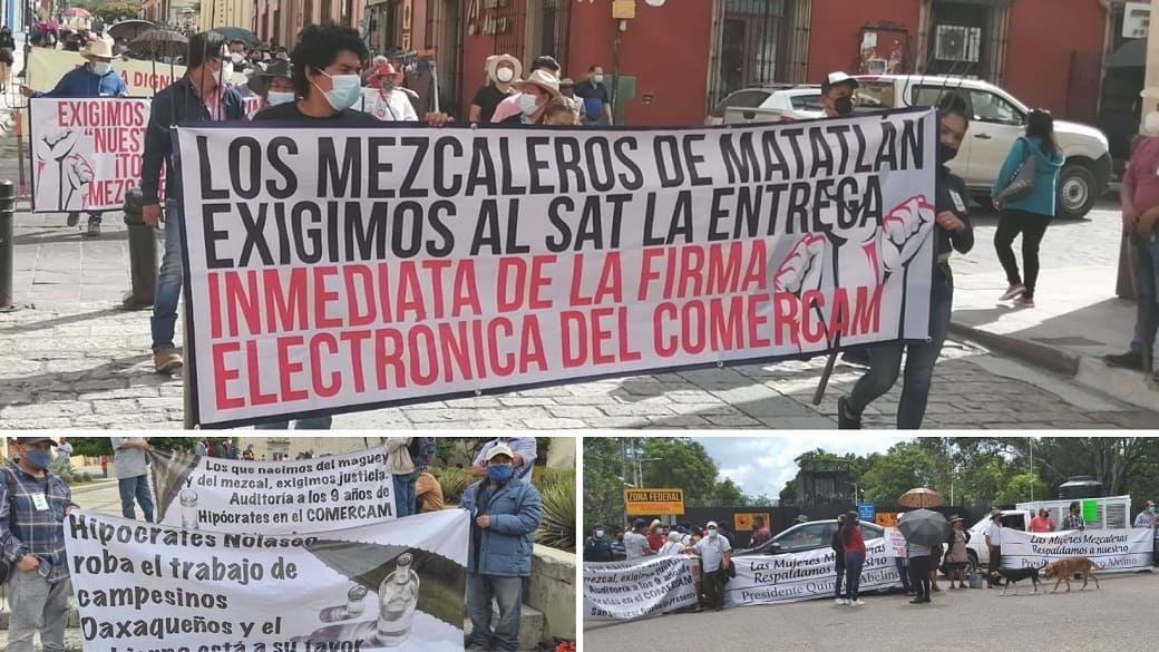 Mezcaleros marchan en Oaxaca