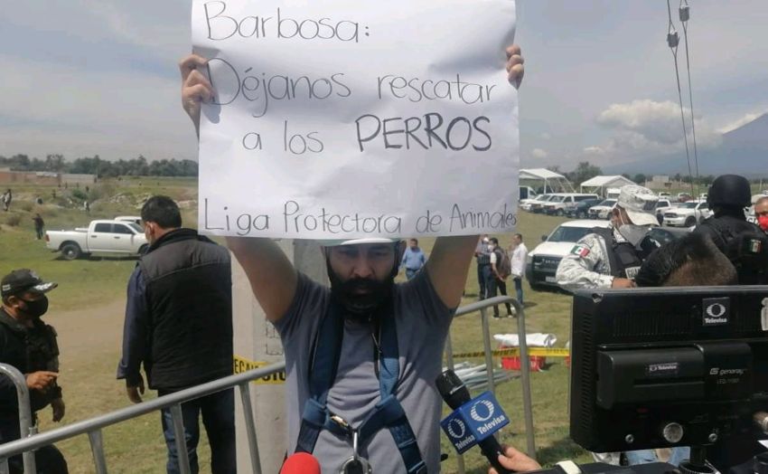 Manifestantes exigen rescate de los perritos atrapados en el socavón de Puebla