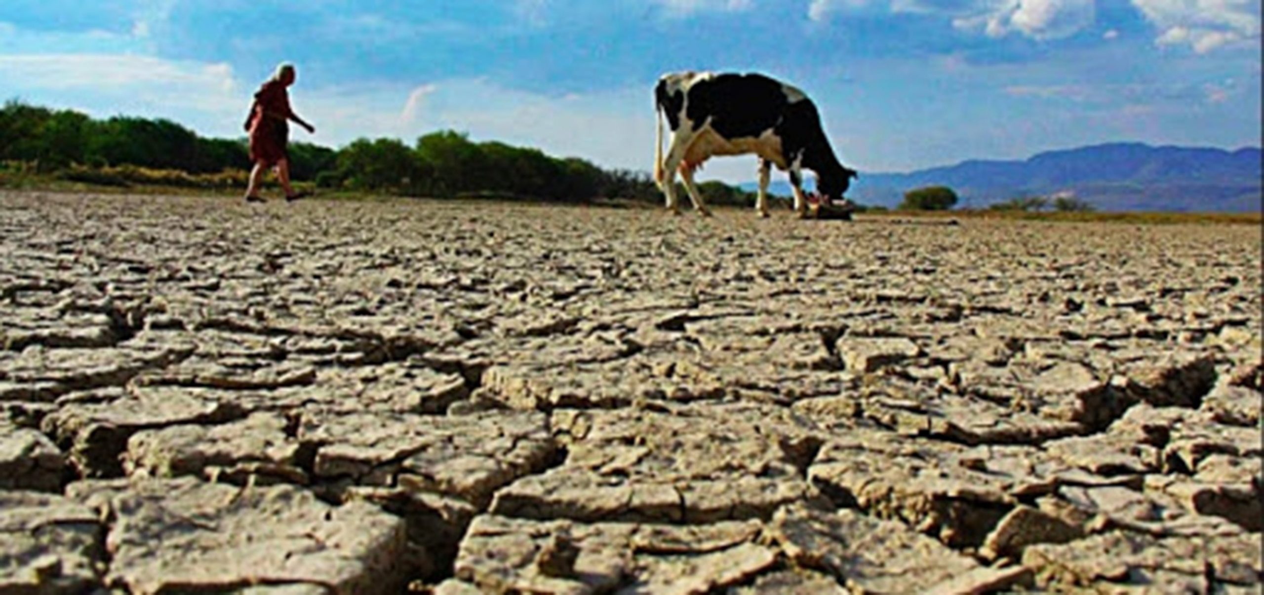 México está ante una grave crisis de sequía; necesario, plan de atención emergente: Rubén Muñoz