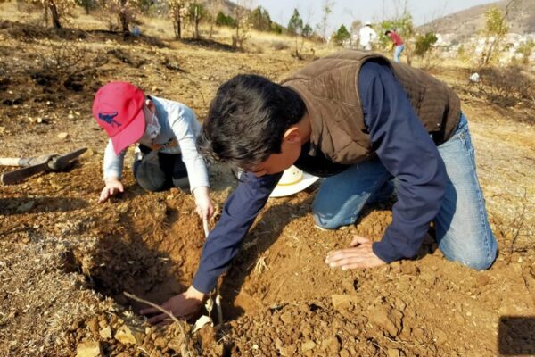 Estudiante Politécnico emprende  rescate ecológico del Cerro de la Bufa