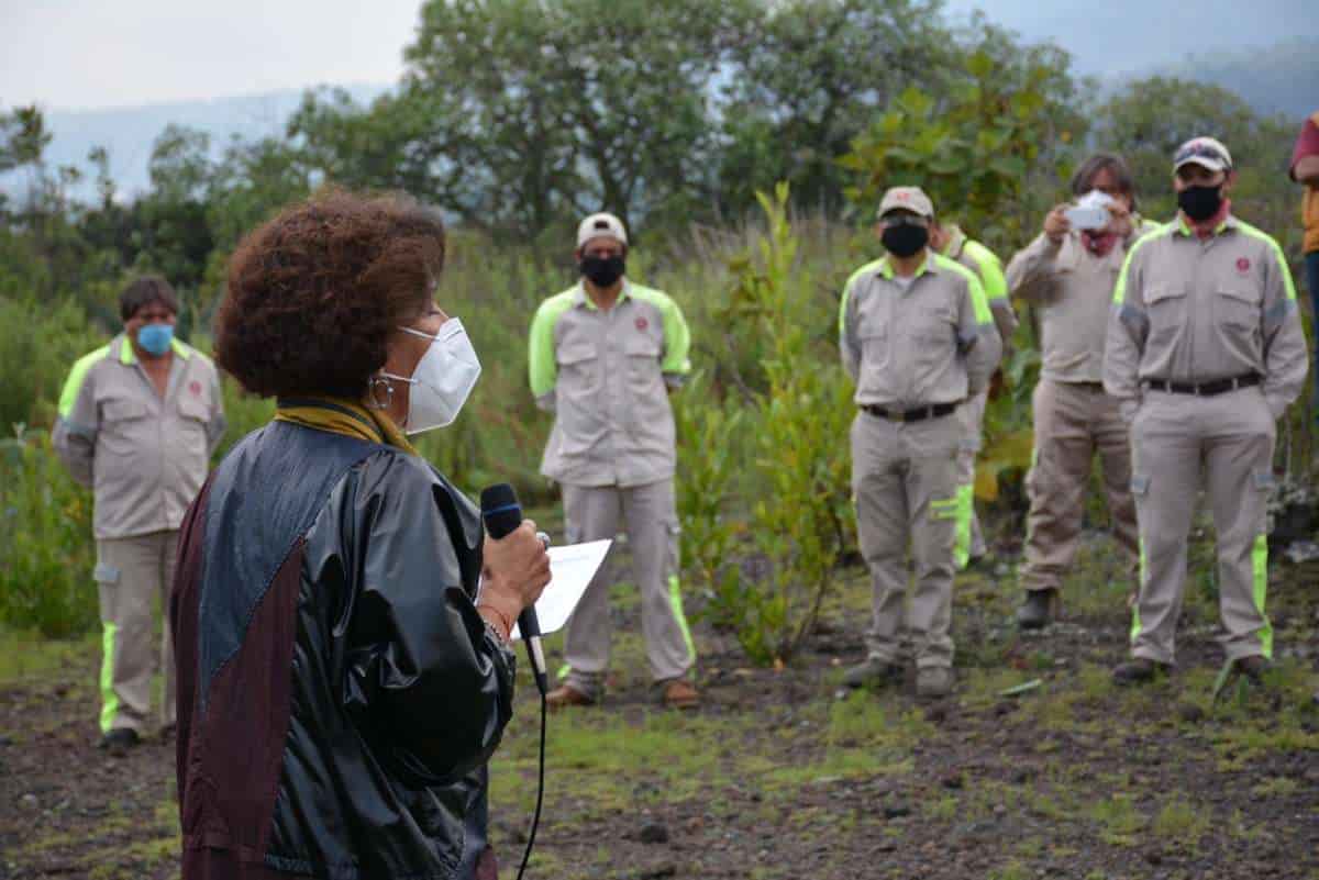 Reforestación a iniciado con 25 mil árboles en paraje La Cima, formando parte del Reto Verde que busca plantar 10 millones de árboles en CDMX.