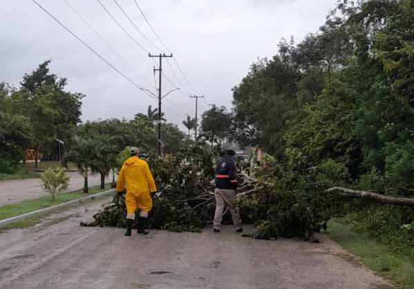 Huracán 'Grace' deja sin luz a 180 mil hogares en QRoo y Yucatán: CFE