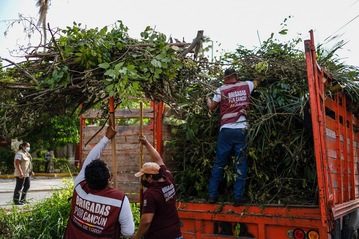 Mantienen trabajadores de Benito Juárez limpieza tras huracán “Grace”