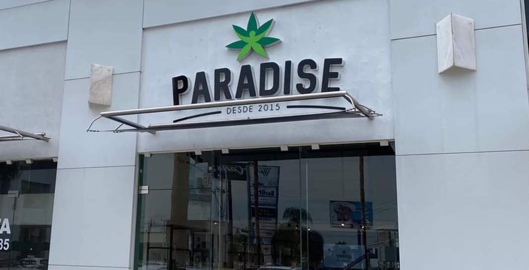 Vicente Fox y Roberto Palazuelos inauguran negocio para vender productos de cannabis en León y esperan contar con 400 sucursales en México.