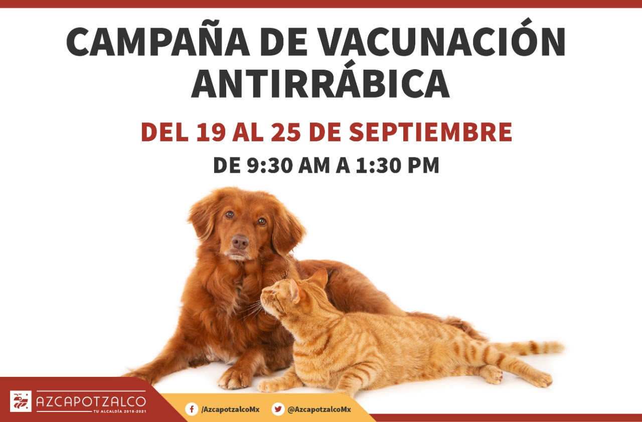 Invitan a campaña de vacunación antirrábica gratuita en Azcapotzalco
