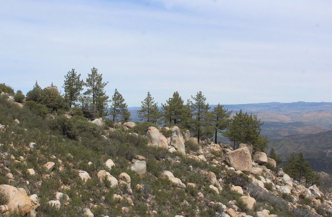 FAO presenta “Guía para la Gestión de los Bosques y el Agua”