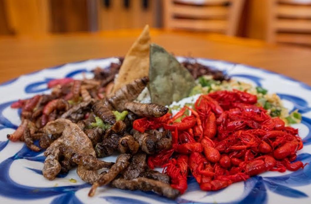 “Sabores de México”: imágenes e historias de la gastronomía mexicana