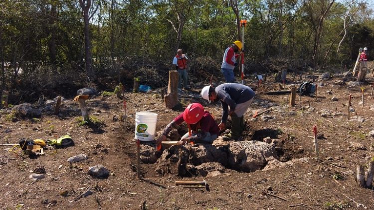 Descubrimientos arqueológicos en obras del Tren Maya