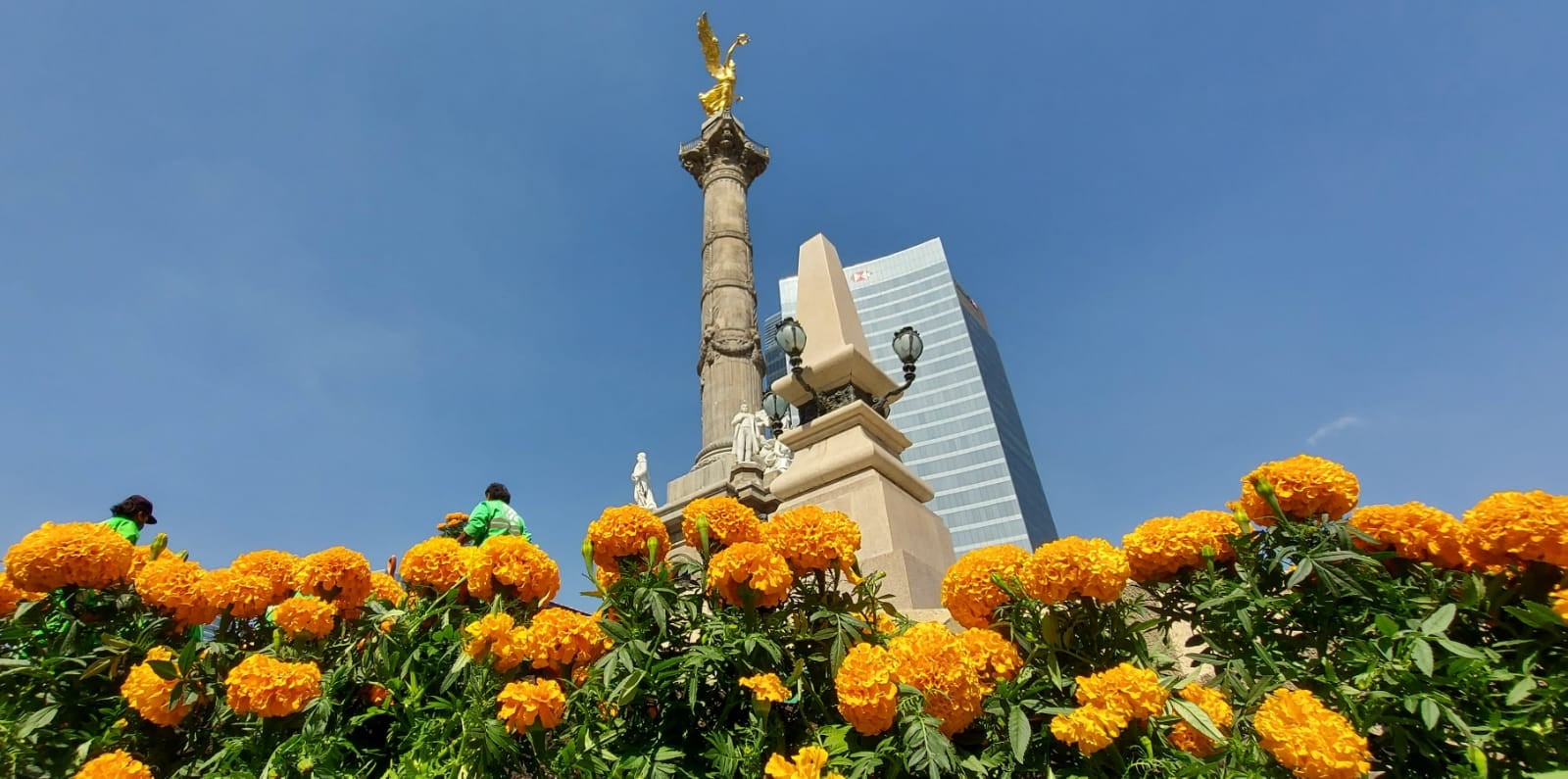 Flores de cempasúchil adornan las principales avenidas de CDMX