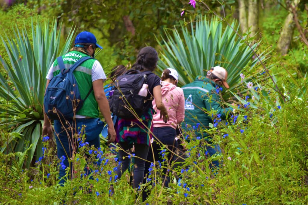 Realiza Sedema jornada de reforestación “Ciclistas por la montaña”