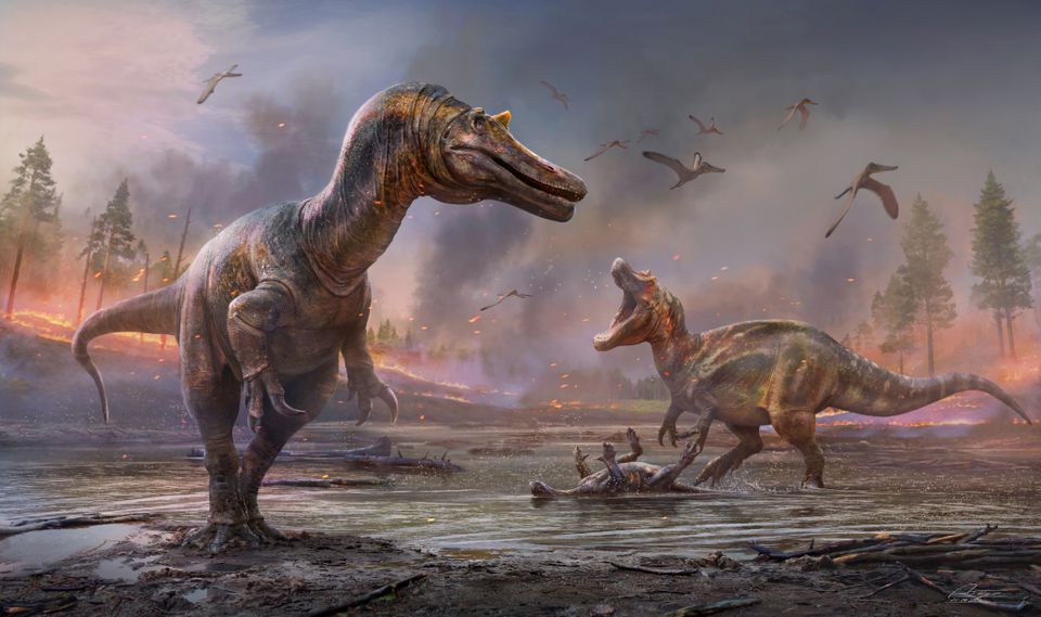 Descubren dos nuevas especies de dinosaurio en RU