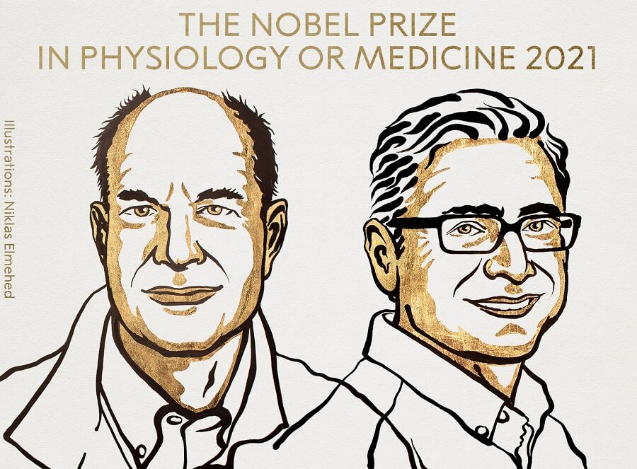 Ya hay Premio Nobel de Medicina 2021