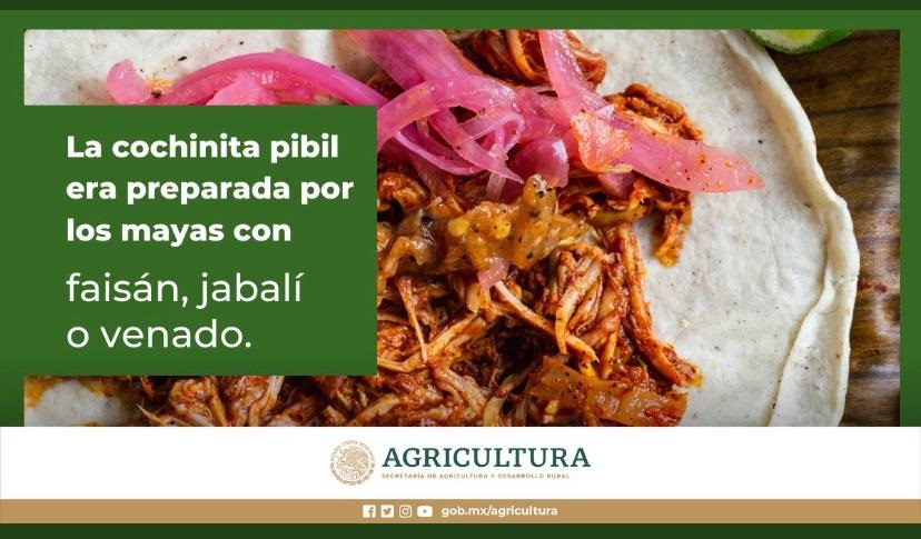 Secretaría de Agricultura en polémica por 'cochinita pibil prehispánica'