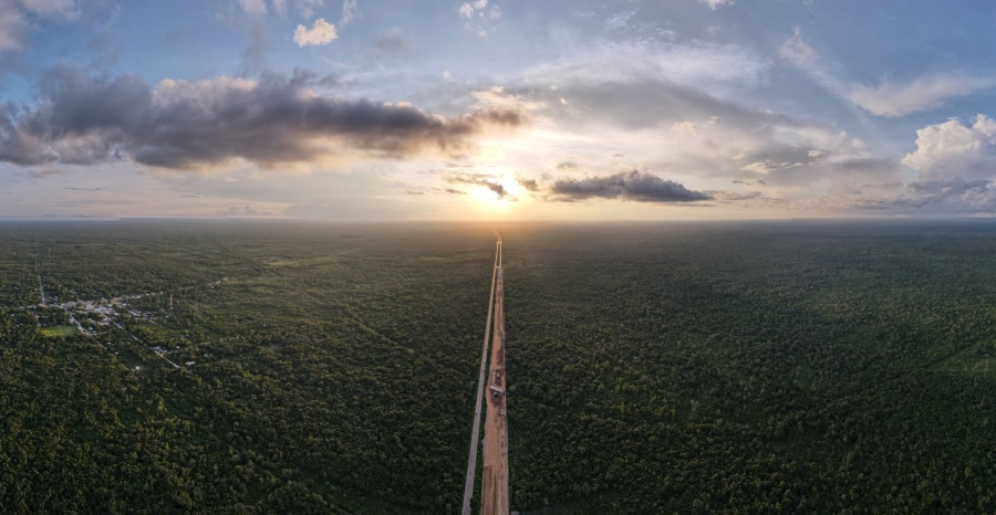 Construcción del Tren Maya lleva un avance de 300 km de terracería