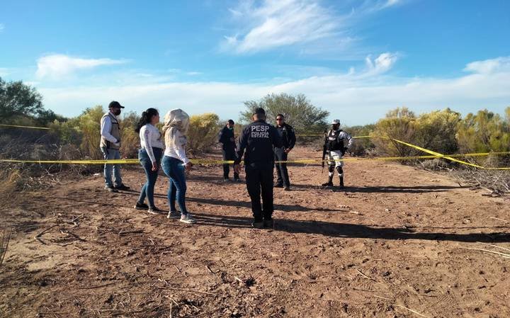 Descubren 14 fosas clandestinas en Sonora