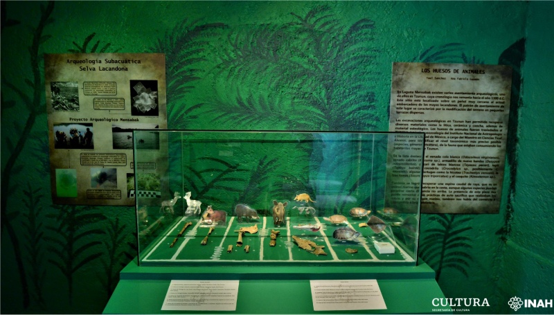 Visita “Arqueología en las casas de los dioses”, en Cuicuilco