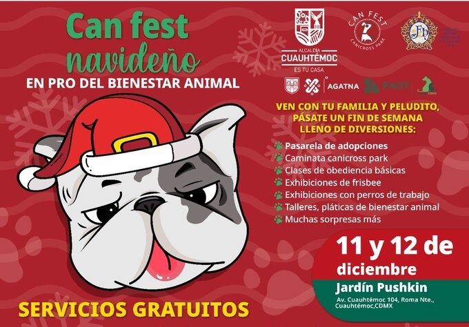 Can Fest Navideño CDMX