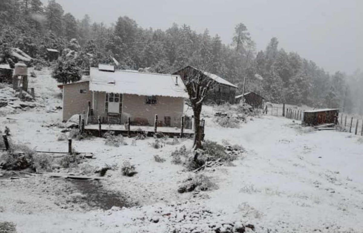 Se registra la primer nevada de la temporada en Durango derivado del frente frío número 14, no se registran afectaciones.