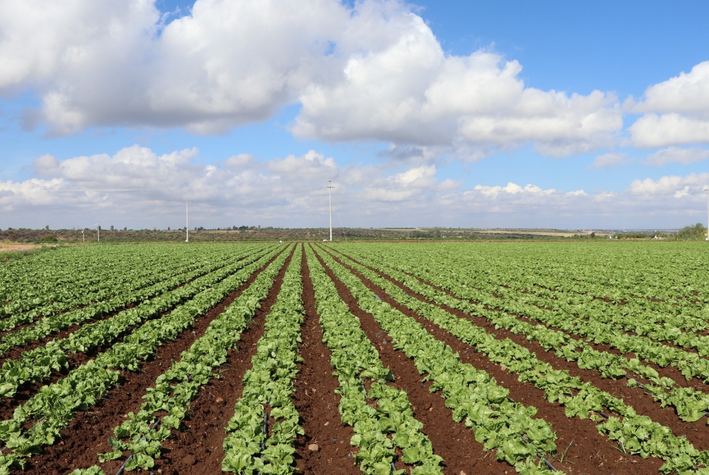 Se invertirán 200 millones en el sector agropecuario en Aguascalientes