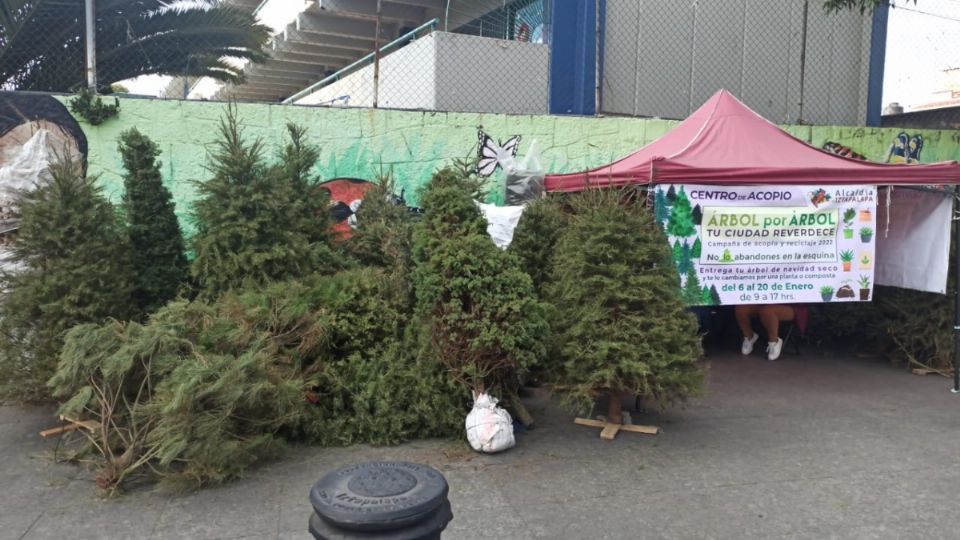 Iztapalapa instala centros de acopio de árboles de Navidad