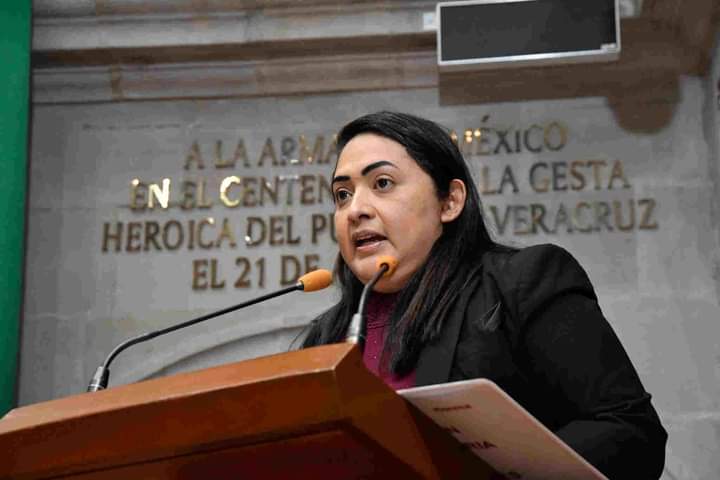 El gobierno del Estado de México debe ajustar el presupuesto con una visión económica social, no electoral: diputada Carmen de la Rosa