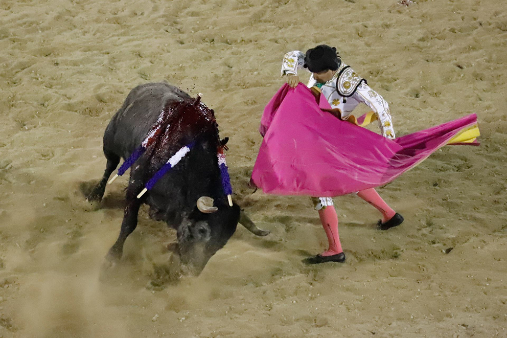 En Sinaloa prohiben las corridas de toros