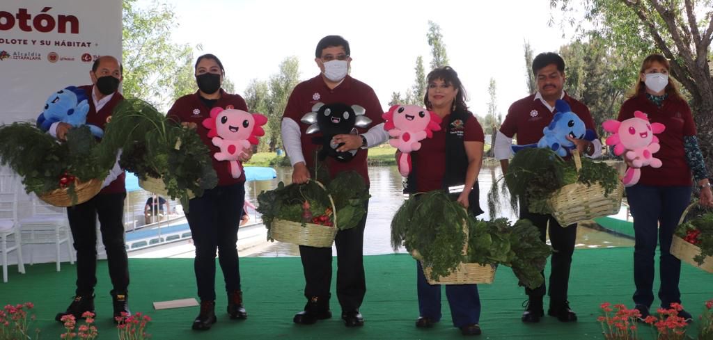 Alcaldes de Morena se unen para promover la conservación del ajolote