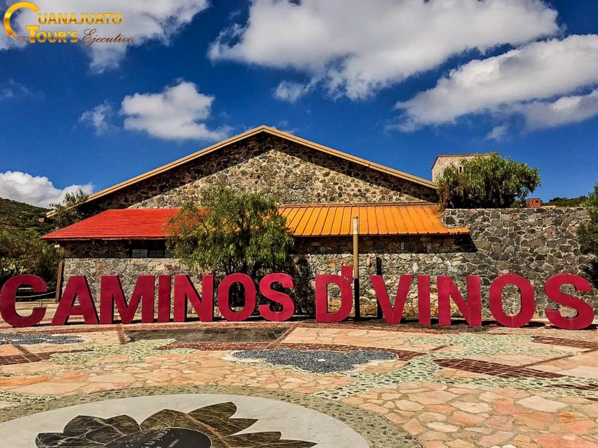 Guanajuato buscará fortalecer el Turismo Enológico
