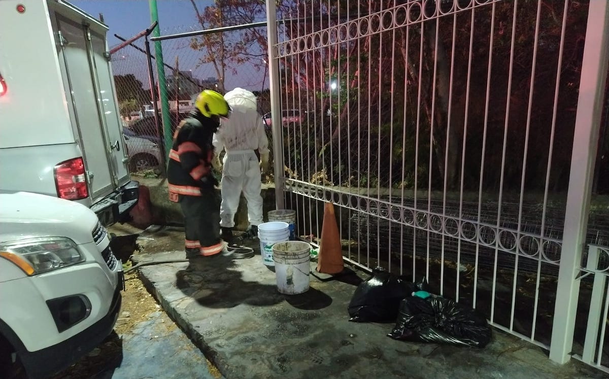 Abejas atacan a varias personas que se encontraban en las inmediaciones del templo de San Nicolás de Bari ubicado en el municipio de Zapopan.