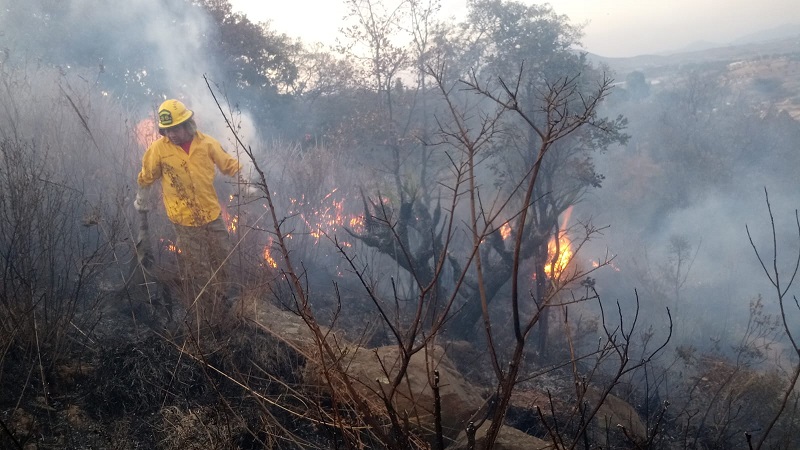 Llama Naucalpan a prevenir incendios forestales en temporada de estiaje