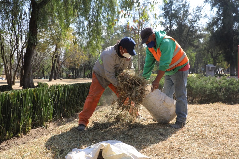 Comenzó el rescate de áreas verdes en Naucalpan