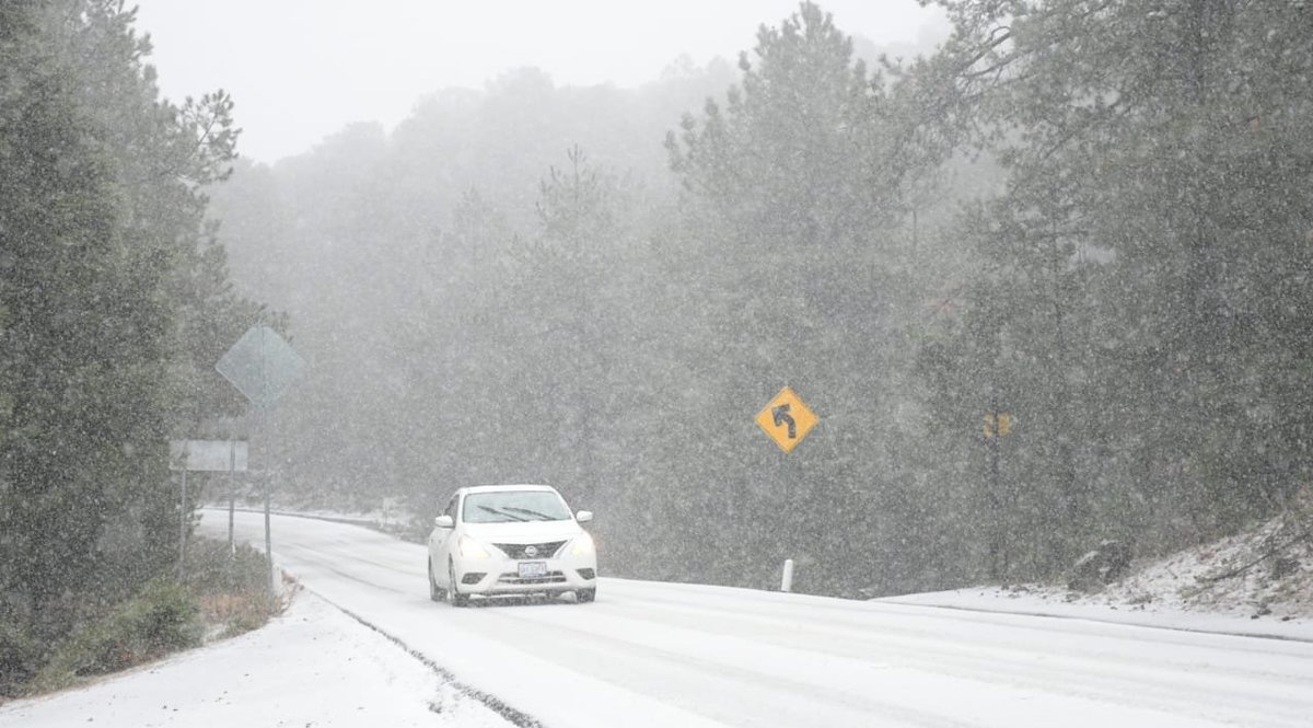 Confirman caída de nieve en 11 municipios debido al frente frío número 28 y la quinta tormenta invernal que impacta a Durango.