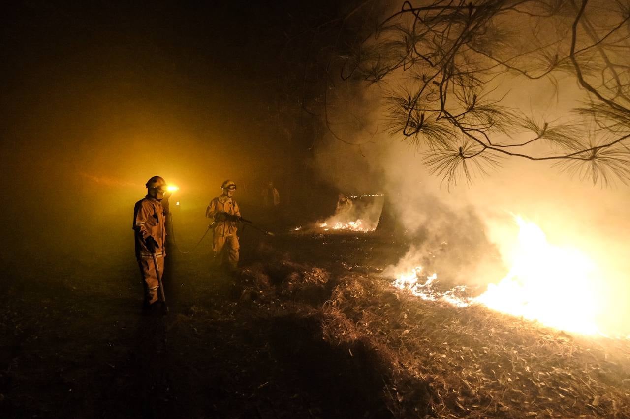 Controlan incendio en el bosque La Primavera