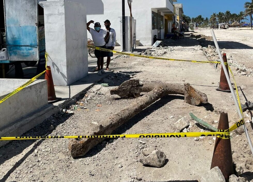 INAH recupera ancla histórica en el puerto de Progreso, Yucatán