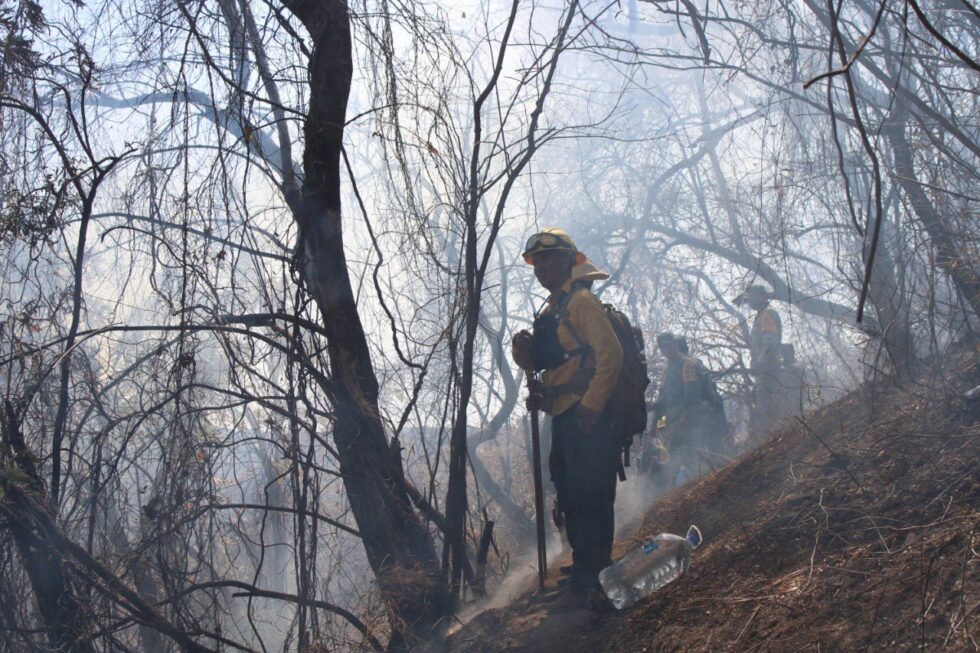 Incendio en el cerro del Tepozteco arrasó con más de 105 hectáreas