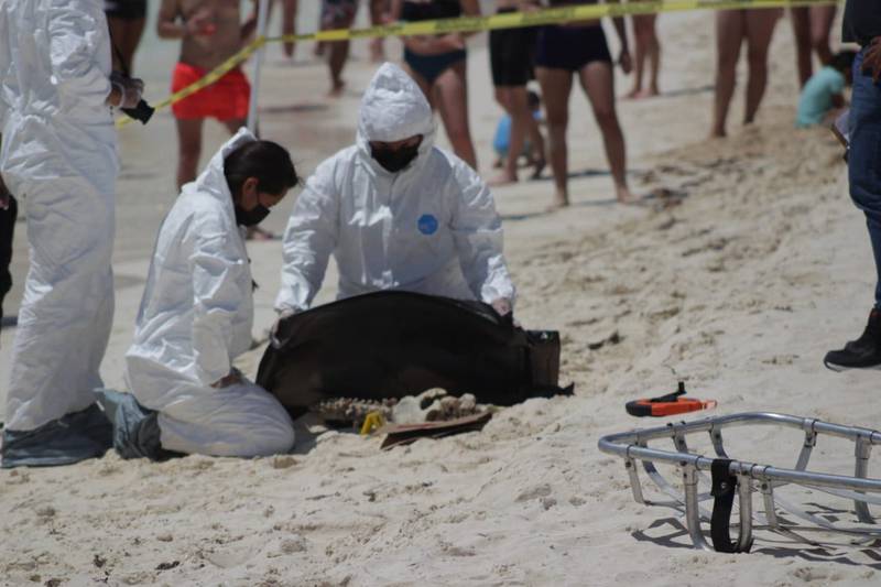 Turistas encuentran restos humanos en playa de Cancún
